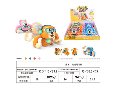 <img src='photo/B/JB080728.jpg'width='400' height='300'>