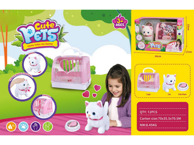 <img src='photo/B/JB080901.jpg'width='400' height='300'>