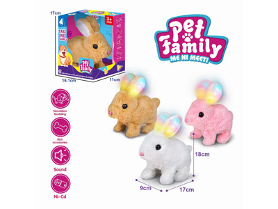 <img src='photo/B/JB081426.jpg'width='400' height='300'>