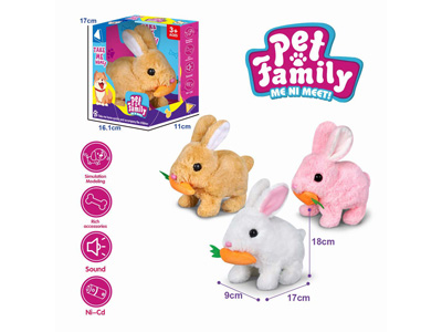 <img src='photo/B/JB081429.jpg'width='400' height='300'>