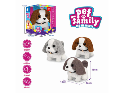 <img src='photo/B/JB081434.jpg'width='400' height='300'>