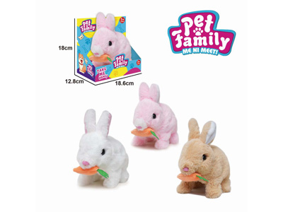 <img src='photo/B/JB081441.jpg'width='400' height='300'>