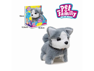 <img src='photo/B/JB081442.jpg'width='400' height='300'>