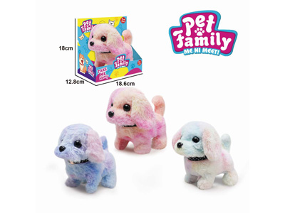 <img src='photo/B/JB081445.jpg'width='400' height='300'>