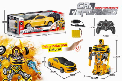 <img src='photo/F/JF092198.jpg'width='400' height='300'>