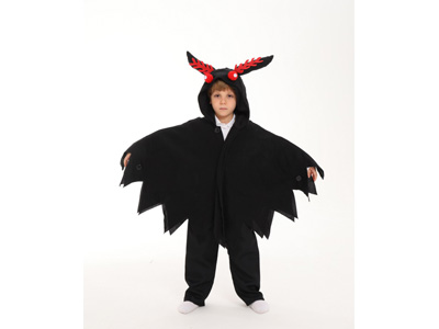 <img src='photo/J/JJ015891.jpg'width='400' height='300'>