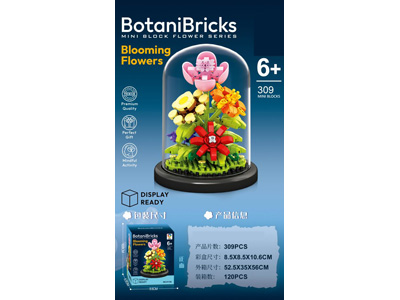 <img src='photo/K/JK193607.jpg'width='400' height='300'>