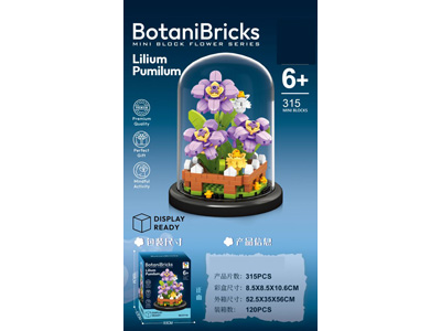 <img src='photo/K/JK193609.jpg'width='400' height='300'>