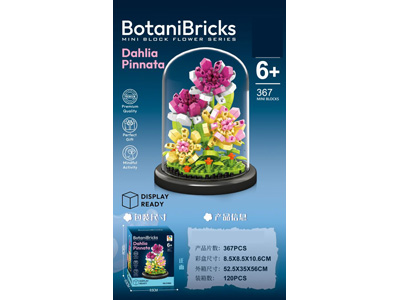 <img src='photo/K/JK193611.jpg'width='400' height='300'>