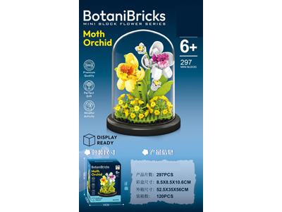 <img src='photo/K/JK193613.jpg'width='400' height='300'>