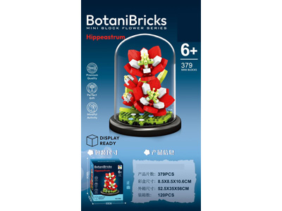 <img src='photo/K/JK193614.jpg'width='400' height='300'>