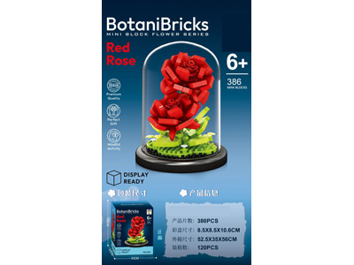 <img src='photo/K/JK193616.jpg'width='400' height='300'>