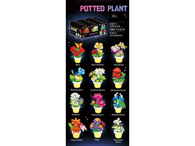 <img src='photo/K/JK193620.jpg'width='400' height='300'>