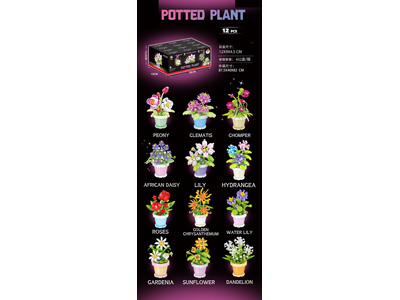 <img src='photo/K/JK193621.jpg'width='400' height='300'>