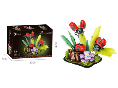 <img src='photo/K/JK196561.jpg'width='400' height='300'>