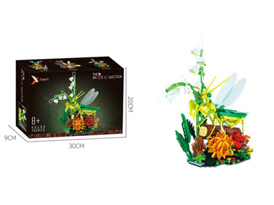 <img src='photo/K/JK196562.jpg'width='400' height='300'>