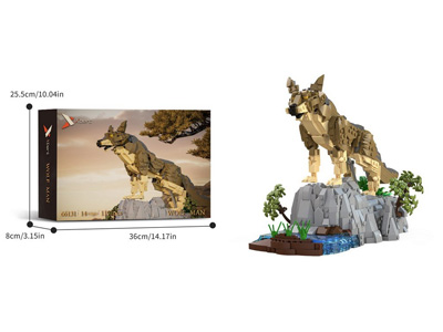 <img src='photo/K/JK196617.jpg'width='400' height='300'>