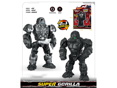 <img src='photo/L/JL046190.jpg'width='400' height='300'>