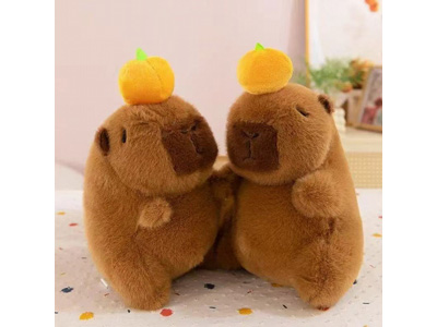 <img src='photo/O/JO221121.jpg'width='400' height='300'>