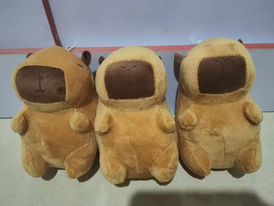 <img src='photo/O/JO221164.jpg'width='400' height='300'>