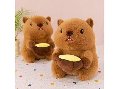 <img src='photo/O/JO221192.jpg'width='400' height='300'>