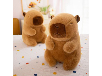 <img src='photo/O/JO221282.jpg'width='400' height='300'>