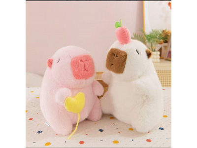 <img src='photo/O/JO221283.jpg'width='400' height='300'>