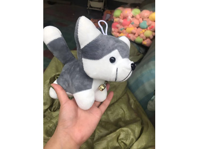 <img src='photo/O/JO223593.jpg'width='400' height='300'>