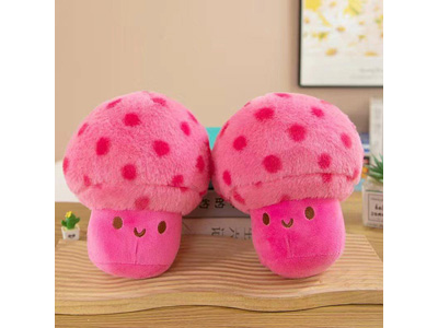 <img src='photo/O/JO223642.jpg'width='400' height='300'>