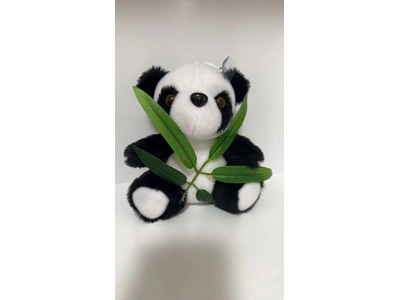 <img src='photo/O/JO223708.jpg'width='400' height='300'>