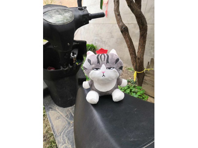 <img src='photo/O/JO223718.jpg'width='400' height='300'>