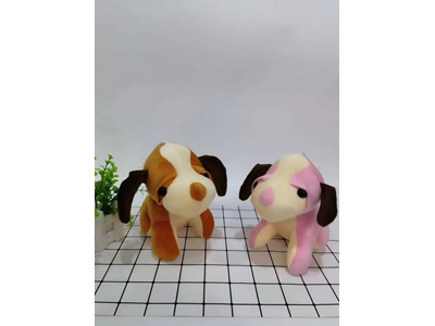 <img src='photo/O/JO223735.jpg'width='400' height='300'>