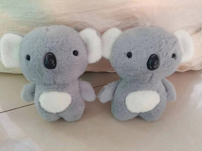 <img src='photo/O/JO223739.jpg'width='400' height='300'>