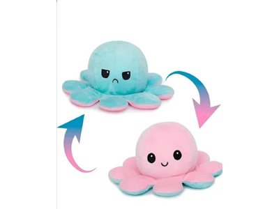 <img src='photo/O/JO224662.jpg'width='400' height='300'>