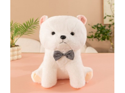 <img src='photo/O/JO229823.jpg'width='400' height='300'>