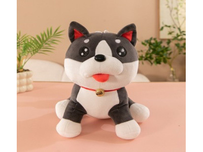 <img src='photo/O/JO229846.jpg'width='400' height='300'>