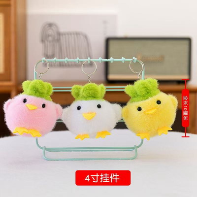 <img src='photo/P/JP006244.jpg'width='400' height='300'>