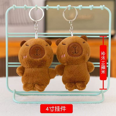 <img src='photo/P/JP006251.jpg'width='400' height='300'>