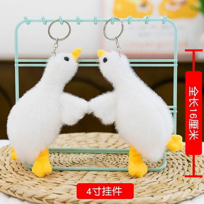 <img src='photo/P/JP006266.jpg'width='400' height='300'>