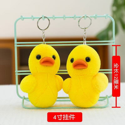 <img src='photo/P/JP006269.jpg'width='400' height='300'>