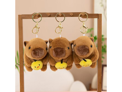 <img src='photo/P/JP006568.jpg'width='400' height='300'>