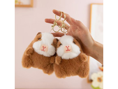 <img src='photo/P/JP006596.jpg'width='400' height='300'>