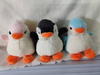 <img src='photo/P/JP006636.jpg'width='400' height='300'>