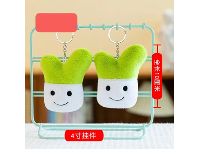 <img src='photo/P/JP006733.jpg'width='400' height='300'>