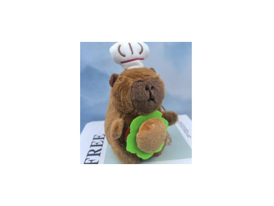 <img src='photo/P/JP006785.jpg'width='400' height='300'>