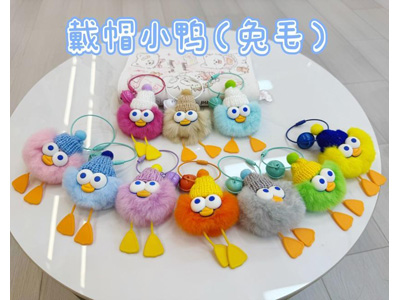 <img src='photo/P/JP006845.jpg'width='400' height='300'>