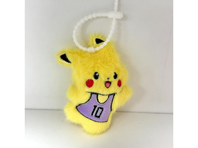 <img src='photo/P/JP006867.jpg'width='400' height='300'>