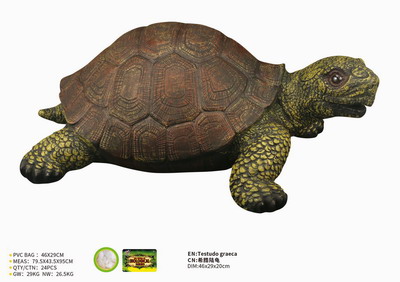 <img src='photo/R/JR057430.jpg'width='400' height='300'>