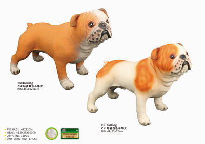 <img src='photo/R/JR057460.jpg'width='400' height='300'>
