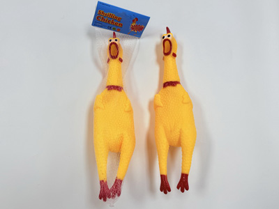 <img src='photo/R/JR057966.jpg'width='400' height='300'>